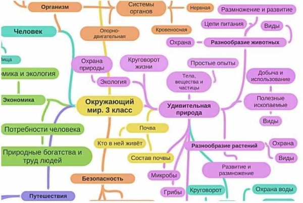 Набор интеллект-карт за 2 класс (Олеся Полубоярова)